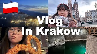 【フランス留学Vlog 8 】ポーランド旅行②・クラクフ [upl. by Pierrette]