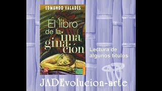 Microrrelatos El libro de la imaginación de Edmundo Valadés [upl. by Nurav]