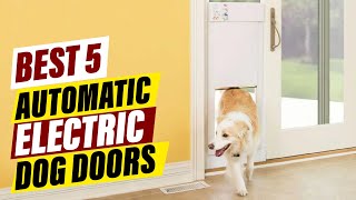 Best Automatic Dog Doors A Comprehensive Guide [upl. by Hammock]