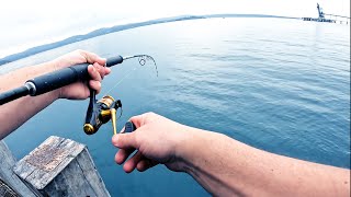 Wharf Fishing Australia for Trevally [upl. by Niveg]