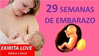 29 semanas de embarazo  Ekirita Love [upl. by Kcirtapnaes673]