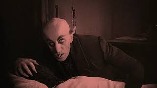 The Scariest Scene Ever  Nosferatu 1922  Horror movie HD [upl. by Yablon230]