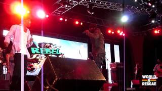 Beres Hammond Live  Rebel Salute 2013  Jamaica [upl. by Amatruda729]