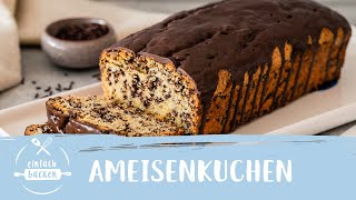 Ameisenkuchen – schnelles Rezept mit Eierlikör  Einfach Backen [upl. by Marthena]