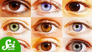 11 Things That Can Change Your Eye Color [upl. by Ainej809]