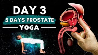 No More Prostate Problems  Day 3  Yoga Exercises for Men Over 40 [upl. by Acirdna652]