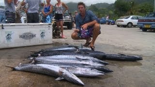 Deep Sea Fishing The Cook Islands Travel Video Guide [upl. by Yxel40]