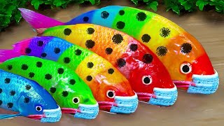 Cartoon Stop Motion ASMR  Believe This Fishing Big Red fish Carp eel videos Mudfish Cooking [upl. by Okwu]