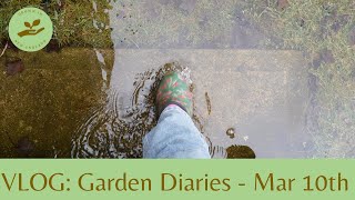 Vlog Garden Diary 8 [upl. by Mag]