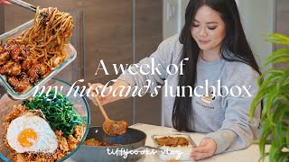 a week of husband’s lunchbox ep 3 🍱  cozy homecooked recipes [upl. by Anneres439]