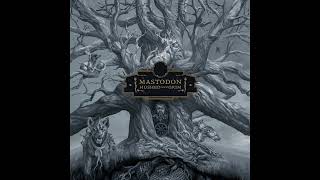 Mastodon  Teardrinker acoustic Official Audio [upl. by Emlynn569]