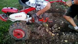 Arracheuse pommes de terre 2013 pour motoculteur  Potato harvester with tiller [upl. by Neivad]