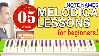 Melodica Lessons for Beginners 5 Note names [upl. by Ohcamac320]