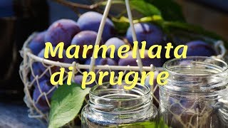 ♡ Ricetta MARMELLATA di PRUGNE  facile [upl. by Refinney]