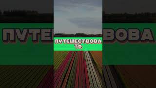 Лучшая Проверка Тебя Пройди Этот Тест🫢😏 [upl. by Noreht]