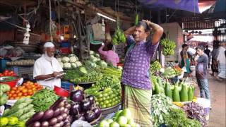 Amazing Fresh Morning Vegetables Market MohaKhali Dhaka Bangladesh [upl. by Guilbert425]