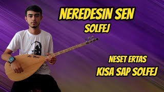 Neredesin Sen Solfej  Kısa Sap Bağlama Neredesin Sen Neşet Ertaş Solfej [upl. by Hpotsirhc]