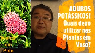 ADUBOS POTÁSSICOS Quais devo utilizar nas Plantas em Vaso ProfRoberto Takane [upl. by Esau]