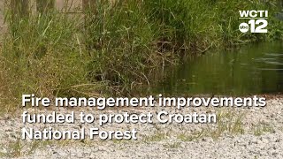 Fire management improvements funded to protect Croatan National Forest [upl. by Spancake]