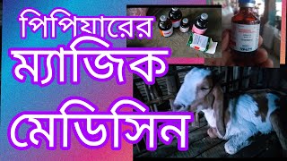 ABSARA GOAT AND COW FARMING [upl. by Damha]