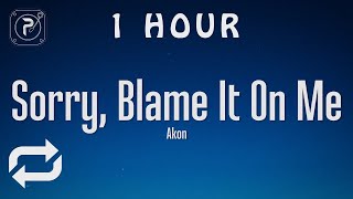 1 HOUR 🕐  Akon  Sorry Blame It On Me Lyrics [upl. by Rentsch]