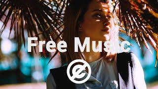 Non Copyrighted Music Danlsan  Free With You Chill [upl. by Mcspadden]