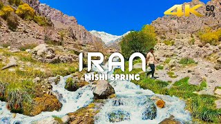 Hiking to Irans Most Scenic Spring Mishi Spring [upl. by Stoll]