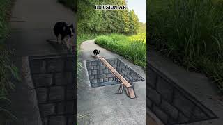 3D ILLUSION ART Street artworks IllusionArt art drawing shortvideo [upl. by Salina]