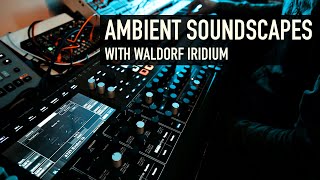 Ambient Soundscapes with Waldorf Iridium [upl. by Herra]