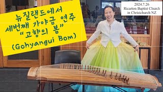 ep11 뉴질랜드에서 세번째 가야금 연주고향의 봄 The third Gayageum performance in NZ Gohyangui bom2024728 [upl. by Lawtun781]