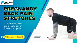 Stretches For Back Pain During Pregnancy Relieve Back Ache During Trimesters 1 to 3 [upl. by Eedyah210]