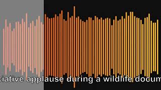 Applause Sound FX Compilation  Sound Effect [upl. by Pincas23]