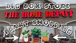 PLANT SHOPPING  Big Box Store HOME DEPOT  California Prices DOLLAR TREE Houseplant Supplies [upl. by Ayotaj345]