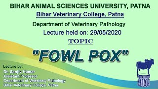 quotFOWL POXquot by Dr Sanjiv Kumar Dept of Vet Pathology BVC [upl. by Nameloc332]