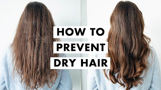 How to Fix Dry Hair  Winter Hair Tips [upl. by Inama480]