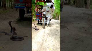 rikshawala bhai khatarnak raste per a raha tha aage khatarnak sampon Ne gher liyashortvideo shorts [upl. by Jewelle]