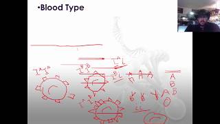 Fall 2017 Bio 1080 Remaining Chapter 14 Slides Recessive Disorders  Multifactorial Inheritance [upl. by Aimil]