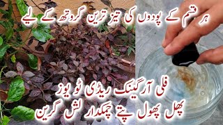 100 Organic Liquid Fertilizer for Plant Growth  Phal Phool aur Pattay Chamakdaar amp Healthy [upl. by Codd431]