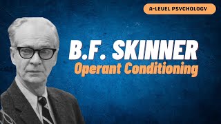 Behaviourist Approach  BF Skinner  Operant Conditioning  AQA Psychology [upl. by Uliram482]