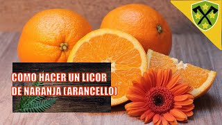 Cómo Hacer un LICOR de NARANJAArancello [upl. by Eladnek]