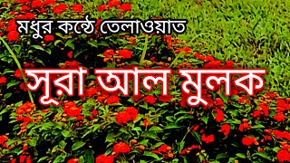 beautiful surah al mulk  beautiful quran tilawat  মধুর কন্ঠে তিলাওয়াত সূরা আল মুলক [upl. by Atteoj129]