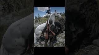 Localização Appaloosa rdr2 reddeadredemtion2 reddeadredemption reddeadonline redditstories [upl. by Tippets823]