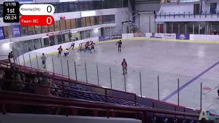 U17B  Semi Final quotAquot New Tecumseth Xtreme vs Team BC [upl. by Downe]