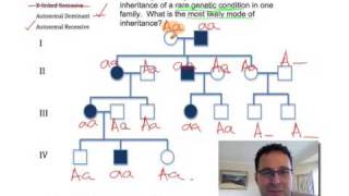 Pedigree Analysis 2 How to solve a genetic pedigree Example No 2 [upl. by Diella]