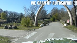 GA MEE OP AUTOSAFARI IN SAFARIPARK BEEKSE BERGEN [upl. by Erdnaet]