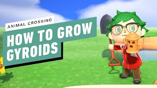 Animal Crossing New Horizons Guide  How to Find and Grow Gyroids in ACNH 20 [upl. by Harpole812]