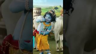 Krishna Janmashtami 2024 🥰Mathe pe pankh mor 🦋Radha Song ✨ Krishna Status 🥹shorts janmashtamilove [upl. by Dulcle664]