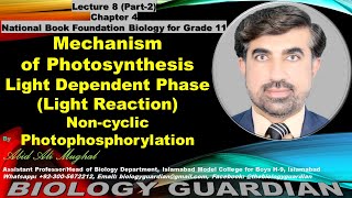 Light Reaction Noncyclic Photophosphorylation Lecture 8 Part2 Ch4 NBF Biology 1st Year [upl. by Nnayhs272]