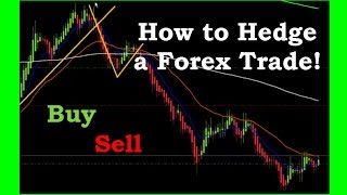 How to Hedge a Forex Trade to make money in both directions [upl. by Murage481]