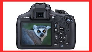 How to adjust Shutter Aperture amp ISO on a Canon EOS DSLR camera [upl. by Zebada]